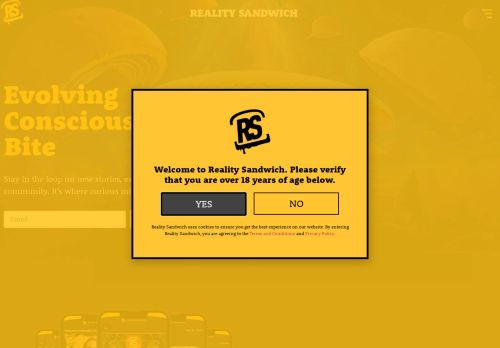 reality sandwich capture - 2025-04-19 06:13:37