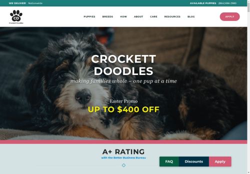 Crockett Doodles capture - 2025-04-19 10:55:20