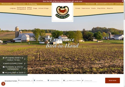 bird in hand capture - 2025-04-19 12:42:18