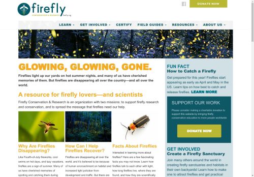 firefly capture - 2025-04-19 18:55:38