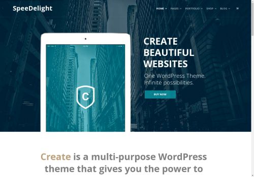 speedelight.com capture - 2025-04-19 21:47:38