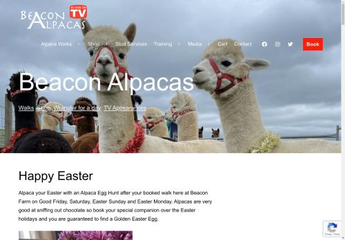 beaconalpacas.co.uk capture - 2025-04-20 02:28:38