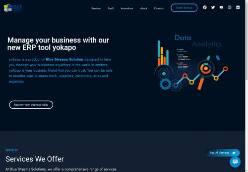 bluestreamssolution.com capture - 2025-04-20 02:49:42