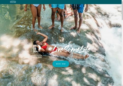 dunns river falls capture - 2025-04-20 05:36:13