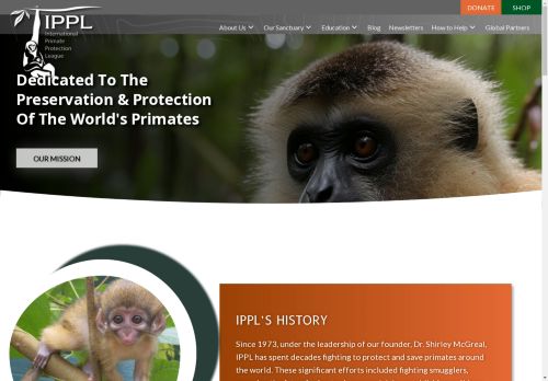 ippl capture - 2025-04-20 06:22:28