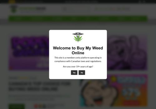 Buy My Weed Online capture - 2025-04-20 07:42:27