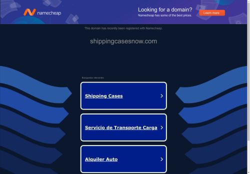 Shipping Cases Now capture - 2025-04-20 10:31:26