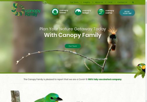 canopy tower capture - 2025-04-20 10:34:42