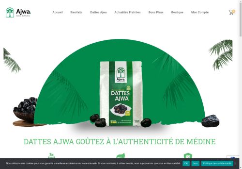 Ajwa capture - 2025-04-20 22:35:22