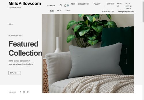 Millo Pillow capture - 2025-04-20 22:35:22