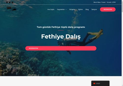fethiyedalis.com capture - 2025-04-20 23:35:20