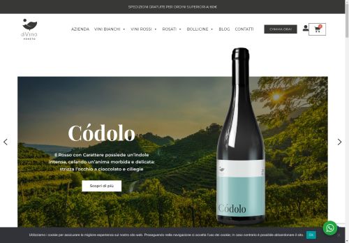 divinoveneto.com capture - 2025-04-21 00:11:19