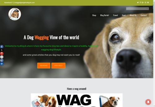 wag the dog uk capture - 2025-04-21 00:11:19