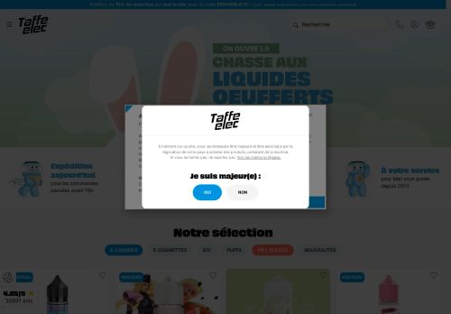 taffe-elec.com capture - 2025-04-21 00:37:04