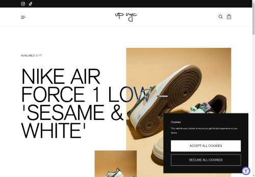 upnycstore.com capture - 2025-04-21 04:00:15