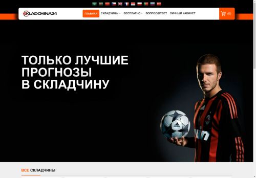 skladchina24.ru capture - 2025-04-21 04:08:48