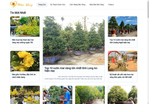 yeu mai vang capture - 2025-04-21 04:45:13