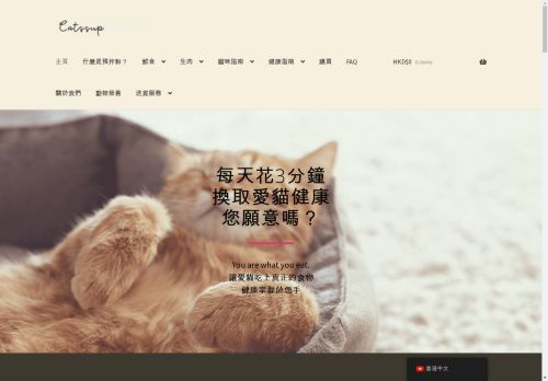 thecatssup.com capture - 2025-04-21 07:37:56