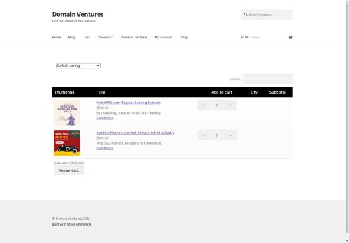 domainventuresinternational.com capture - 2025-04-21 12:28:01