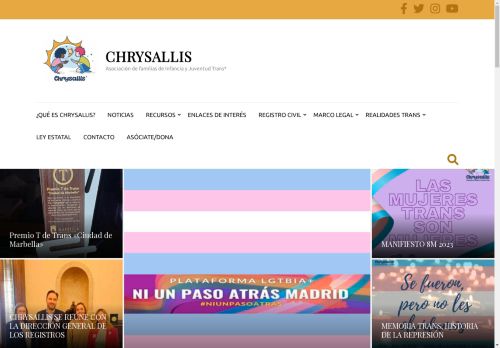 chrysallis capture - 2025-04-21 13:05:19