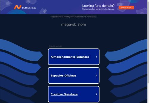 mega-sb.store capture - 2025-04-21 14:03:32