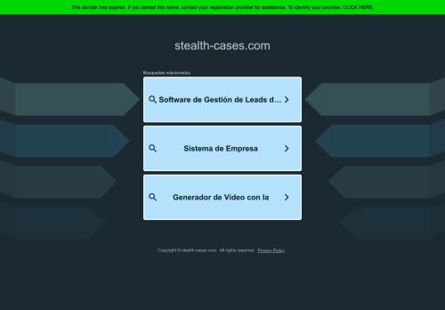 stealth-cases.com capture - 2025-04-21 14:04:35
