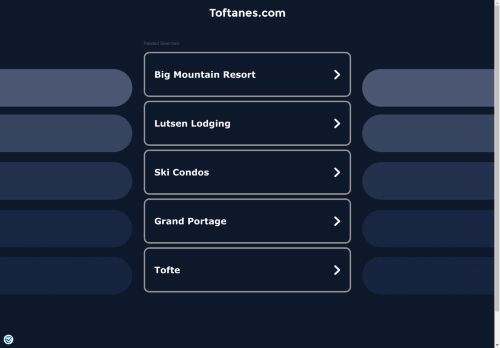 toftanes.com capture - 2025-04-21 19:54:07