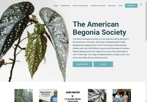 american begonias society capture - 2025-04-21 21:14:26