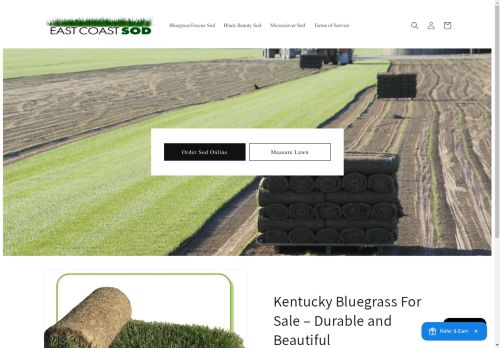 East Coast Sod capture - 2025-04-21 21:35:58