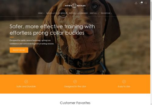 Katie's Buckles capture - 2025-04-21 21:36:50