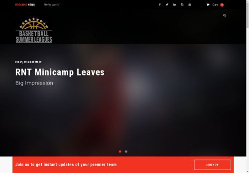 basketballsummerleagues.com capture - 2025-04-22 01:19:03