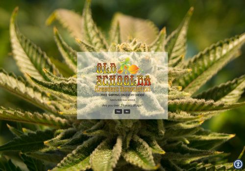 oldschoolba.com capture - 2025-04-22 04:33:47