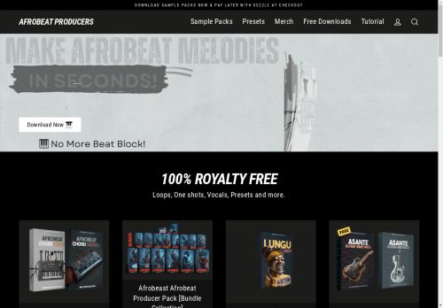afrobeatproducers.com capture - 2025-04-22 10:28:04