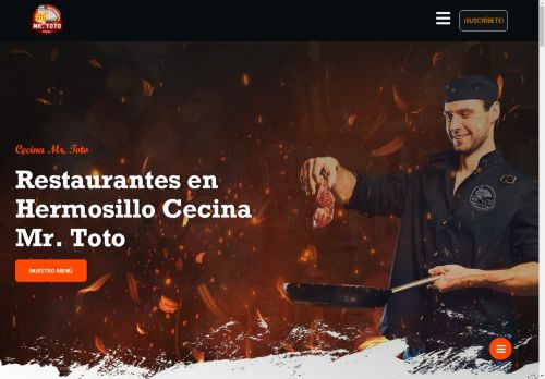 cecinamrtoto.com capture - 2025-04-22 15:56:17