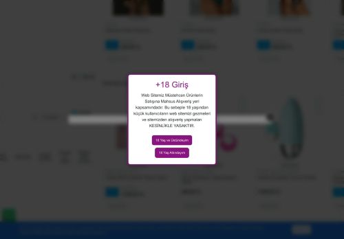 beysexshop.com capture - 2025-04-22 18:51:53