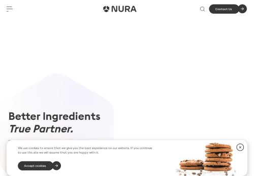 NURA USA capture - 2025-04-22 22:15:55