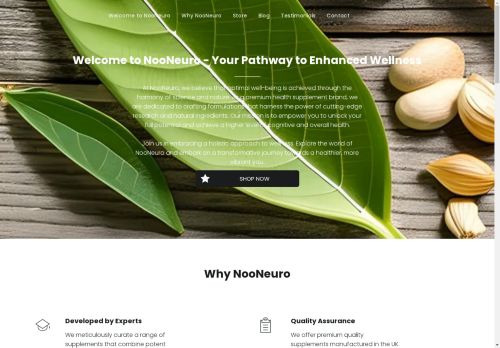 NooNeuro capture - 2025-04-22 22:26:45