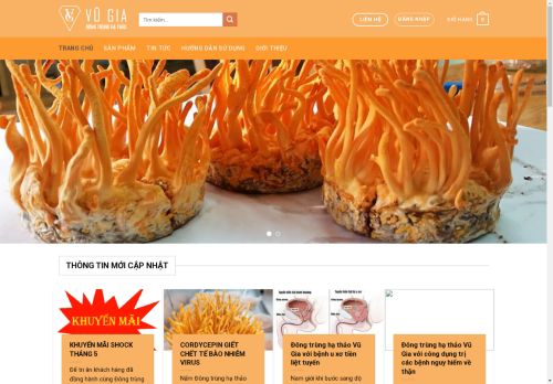 dongtrunghathaovugia.com capture - 2025-04-22 23:58:05