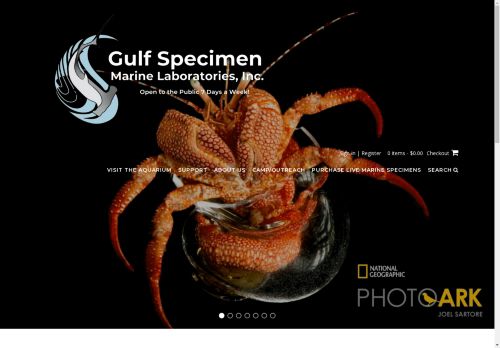 gulf specimen capture - 2025-04-23 00:19:40