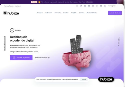 hublize.com capture - 2025-04-23 17:01:35