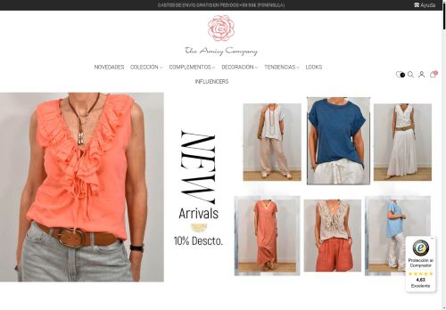 theamisycompany.com capture - 2025-04-23 19:22:30