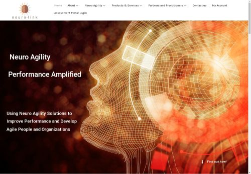 neurolink.company capture - 2025-04-24 02:38:48