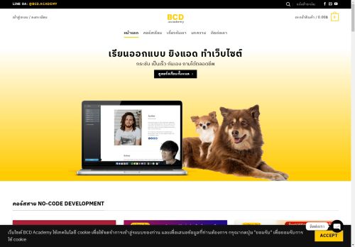 bcd.academy capture - 2025-04-24 03:56:43