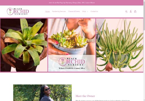 blackorchidnursery.com capture - 2025-04-24 06:07:30