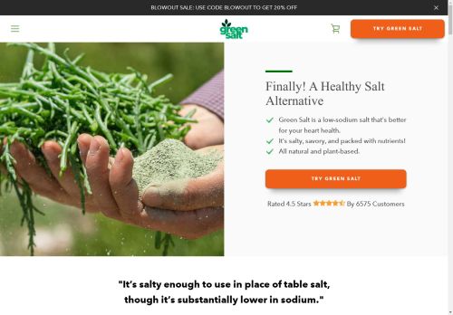 trygreensalt.com capture - 2025-04-24 08:38:17