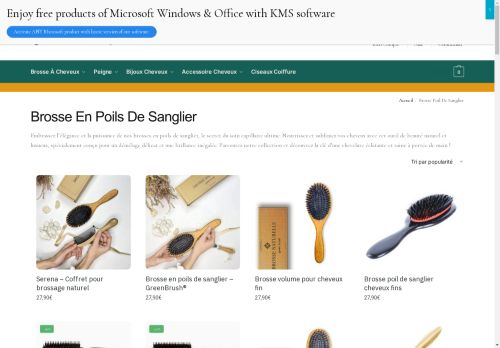 brosse-poil-sanglier.com capture - 2025-04-24 08:42:35