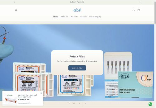 sdsendo.com capture - 2025-04-24 09:04:04