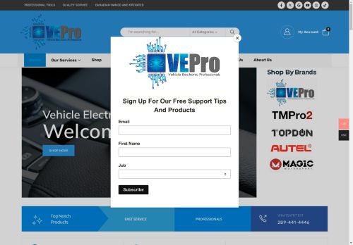 Vehicle Electronic Professionals capture - 2025-04-24 09:28:52