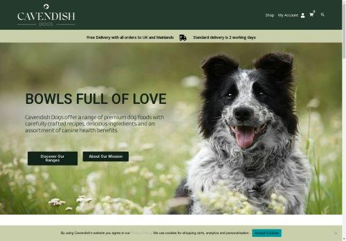 Cavendish Dogs capture - 2025-04-24 09:30:23