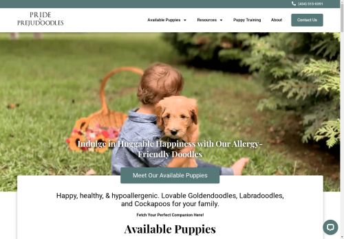 prideandprejudoodles.com capture - 2025-04-24 16:21:57